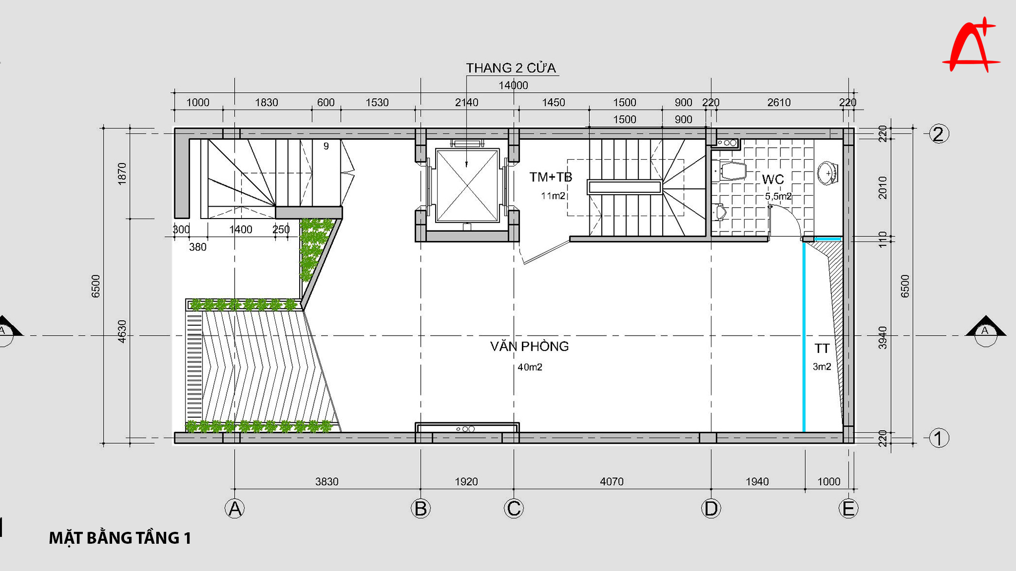 Mặt bằng tầng 1- Văn phòng